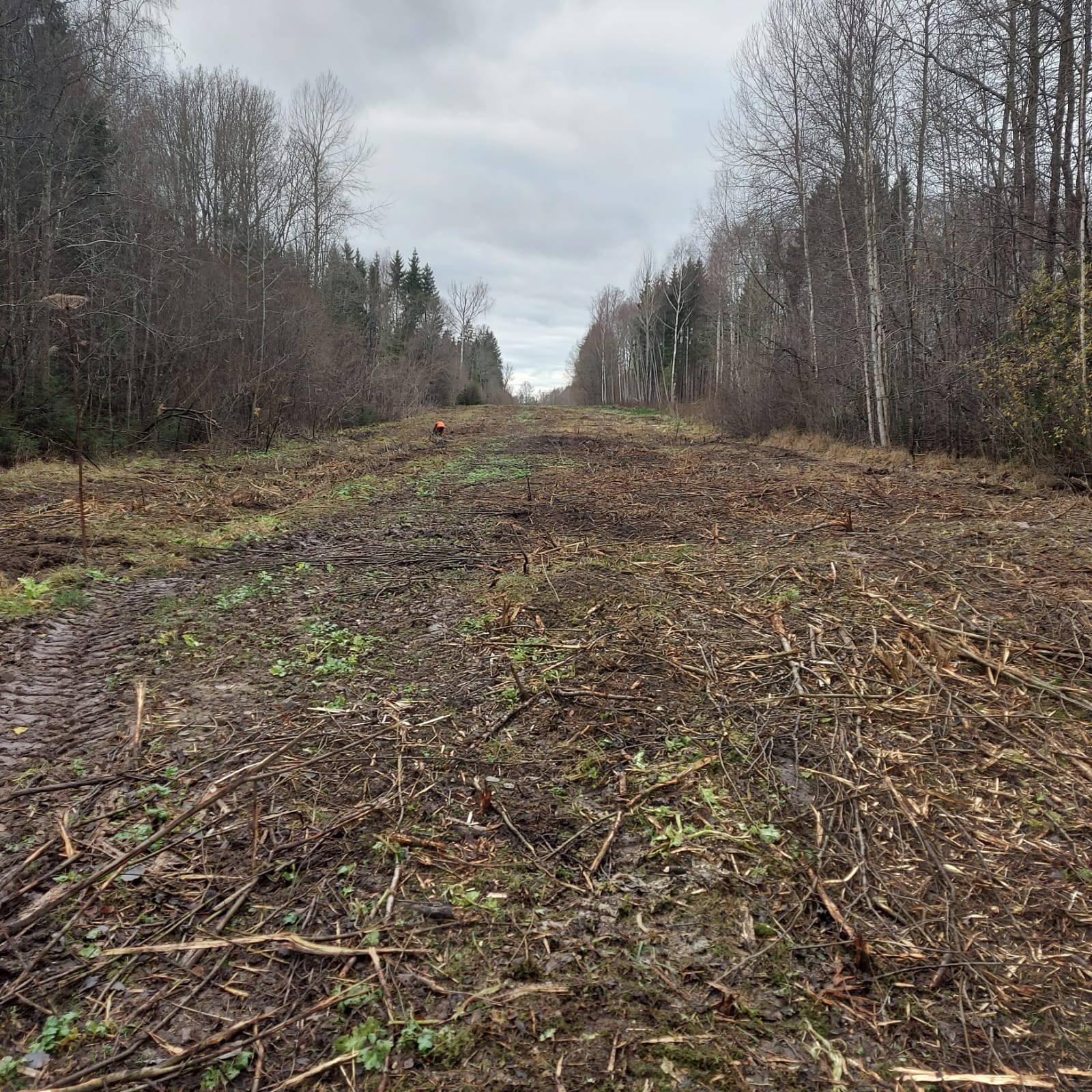 grāvju pļaušanas darbus, zālāju pļaušanu, krūmgrieža, krūmgriezēja,
