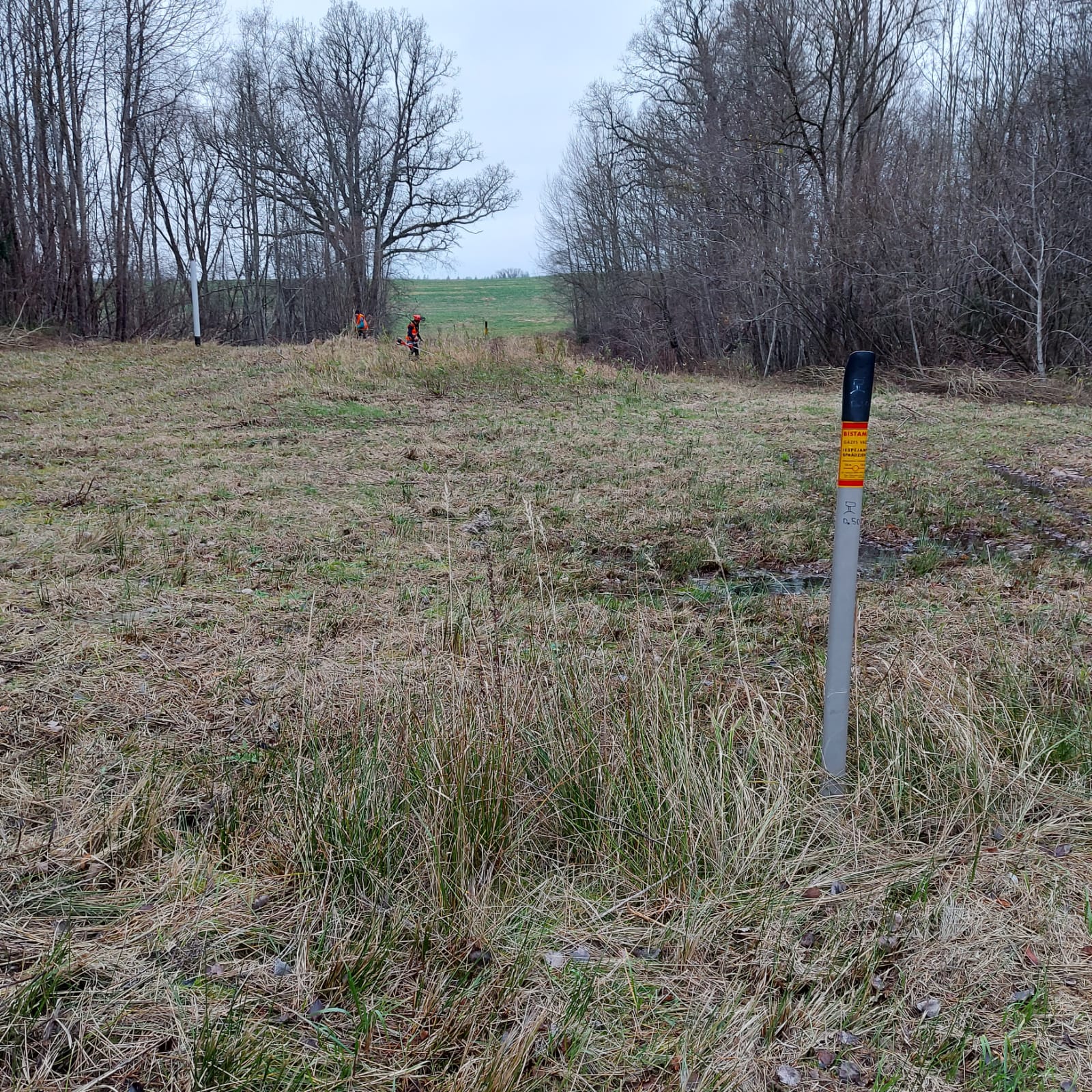 lapu grābšanu, tīrīšanu, savākšanu, izvešsanu