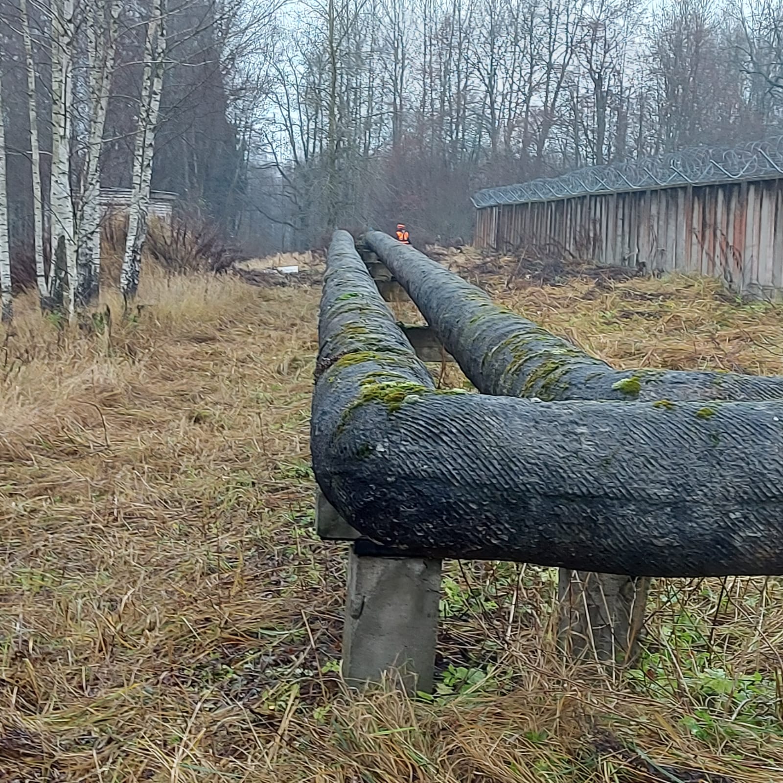 āles, mauriņa pļaušana privātmāju pagalmos, dārzos, parkos