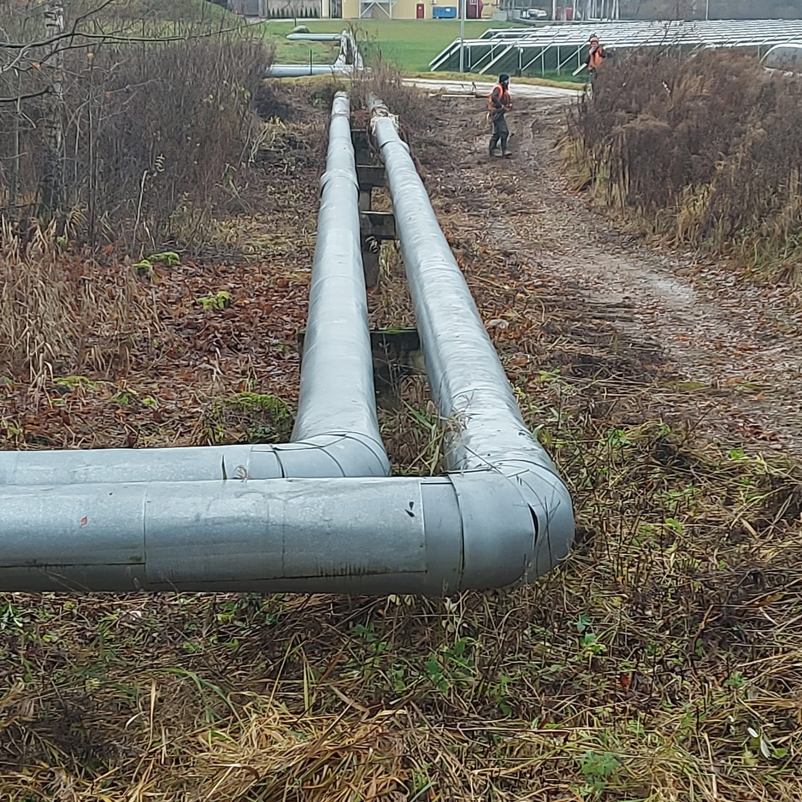 Zāles pļaušana, Zāliena pļaušana, Sniega tīrīšana. Veicam teritoriju, īpašumu sakopšanas pakalpojumi
