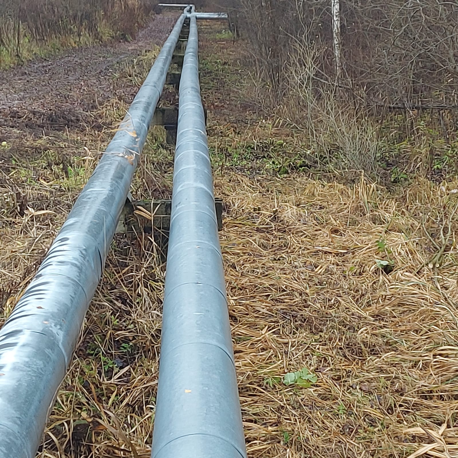 stādījumu ierīkošana, puķu dobju ierīkošana