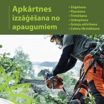 Zāģēšana, apkārtnes izzāģēšana no apaugumiem