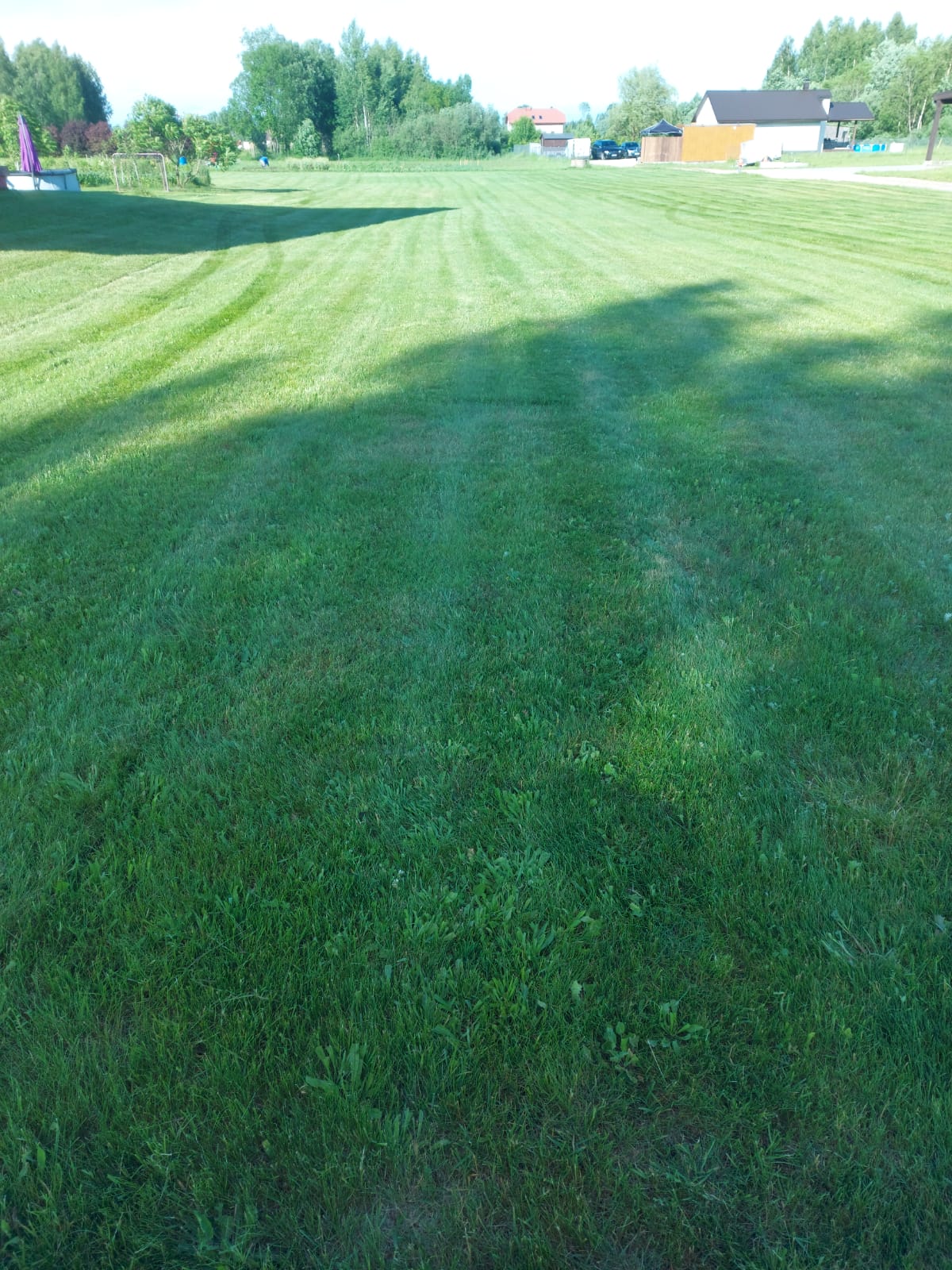 Zāles pļaušana, mauriņa pļaušana ar mauriņa traktoriem, pašgājēj pļaujmašīnām,  trimmeris