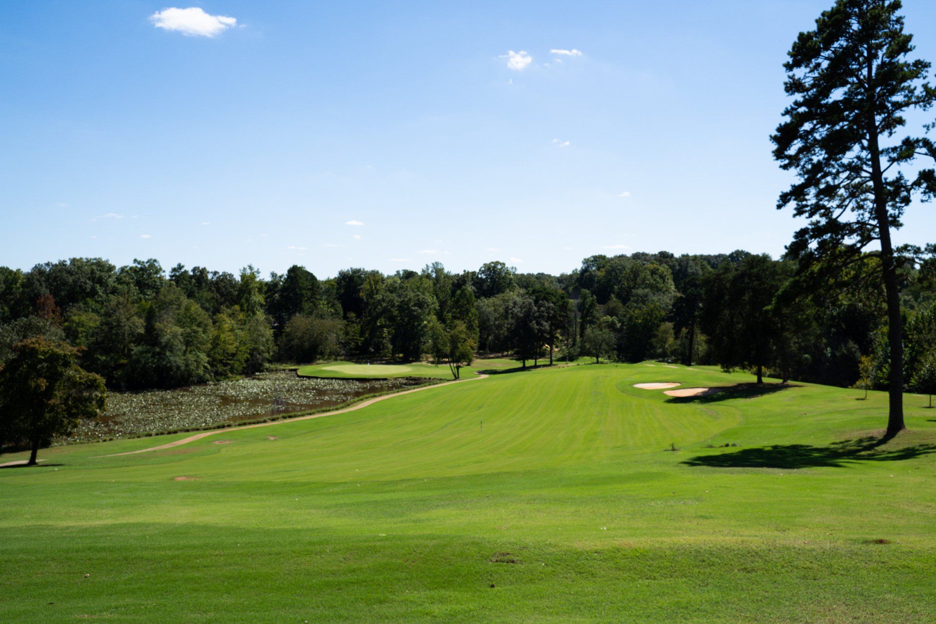 Golf Book a Tee Time Today at Greer Golf