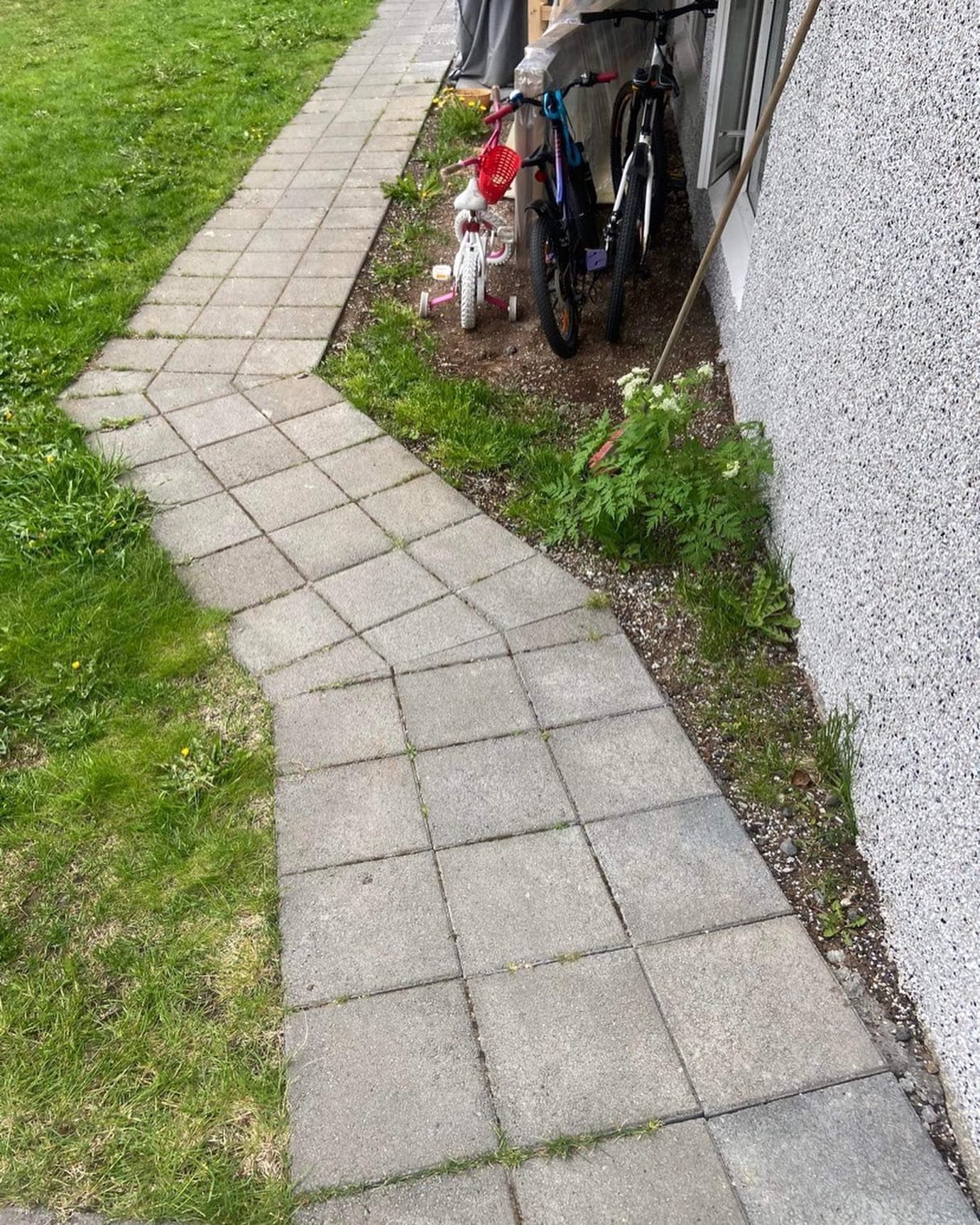 Steinstígur liggur á milli grasflatar og áferðarhúss. Reiðhjól hallar sér upp að veggnum.