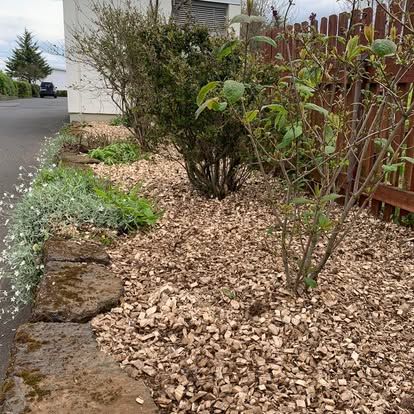 Garðbeð með viðarflísarmuldi, steinbeði og ýmsum plöntum.