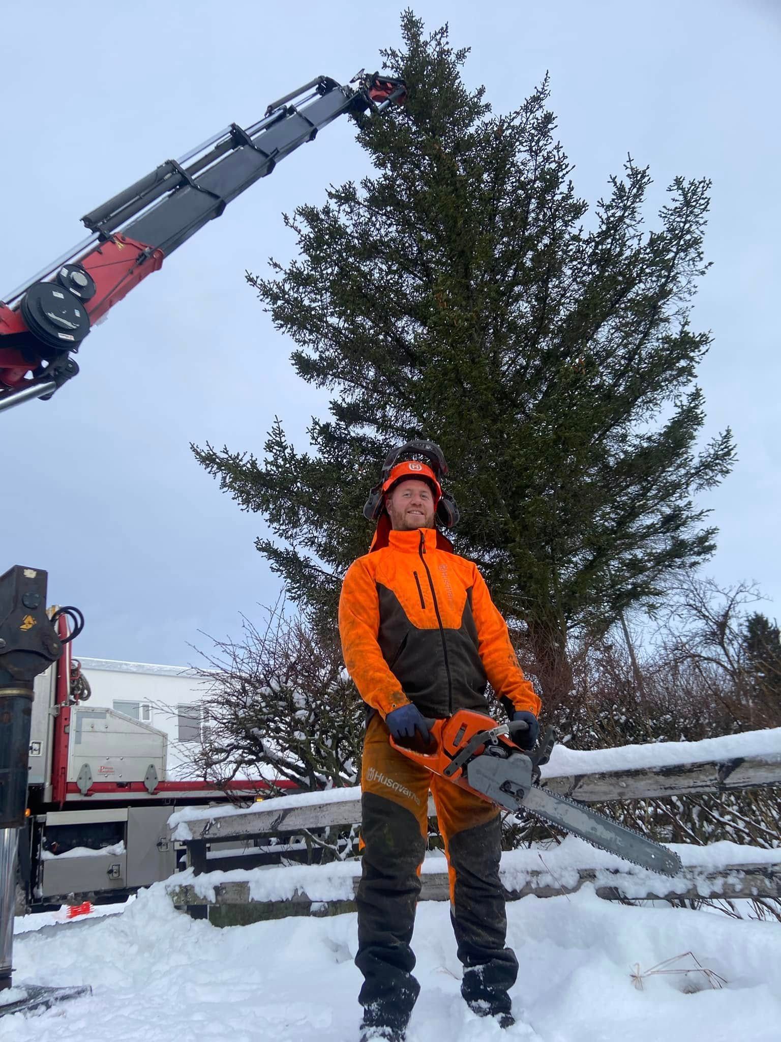 Maður með keðjusög undir krana að saga tré í snjóþöktu umhverfi.