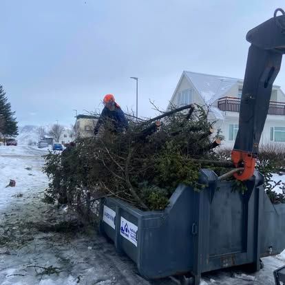 Maður hleður sígrænum greinum í stóra gám með vélrænum armi. Snjór hylur jörðina í íbúðagötu.