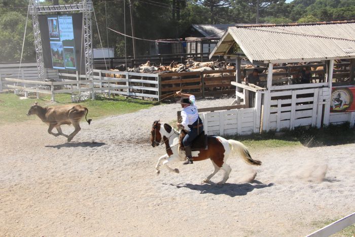 46º Rodeio Crioulo Nacional de Gramado