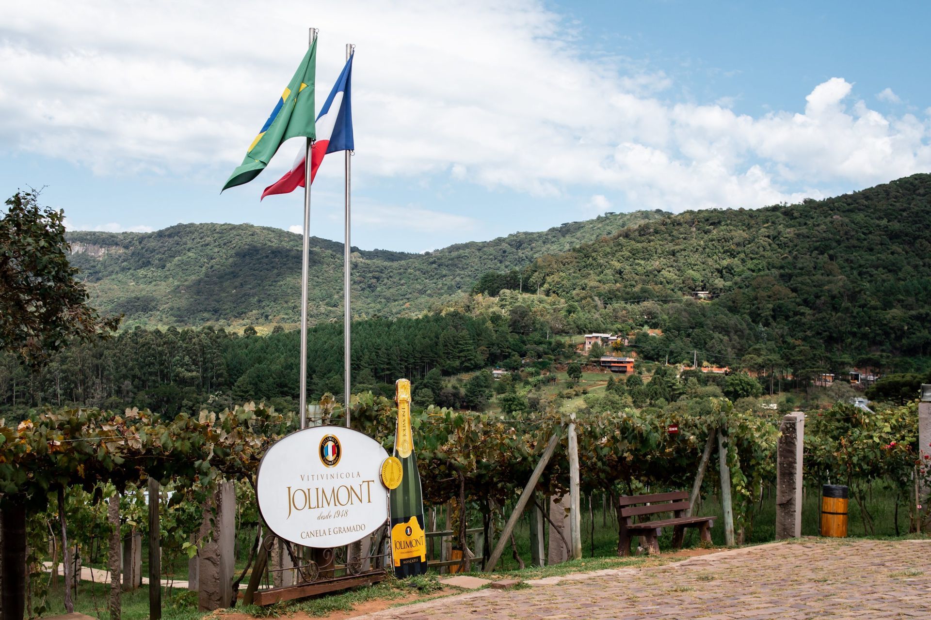 vinhos
