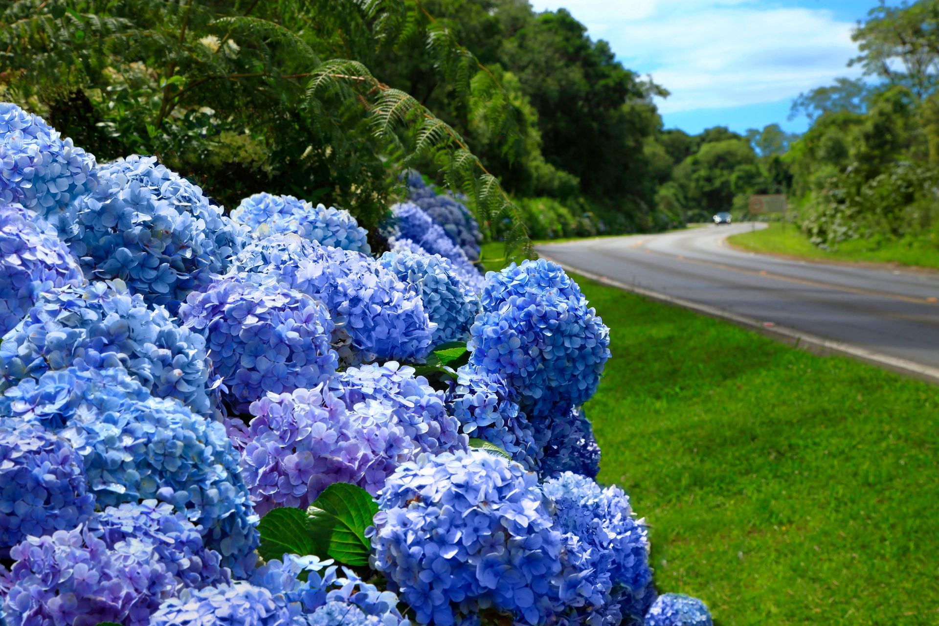 Semana da Pessoa Idosa em Canela