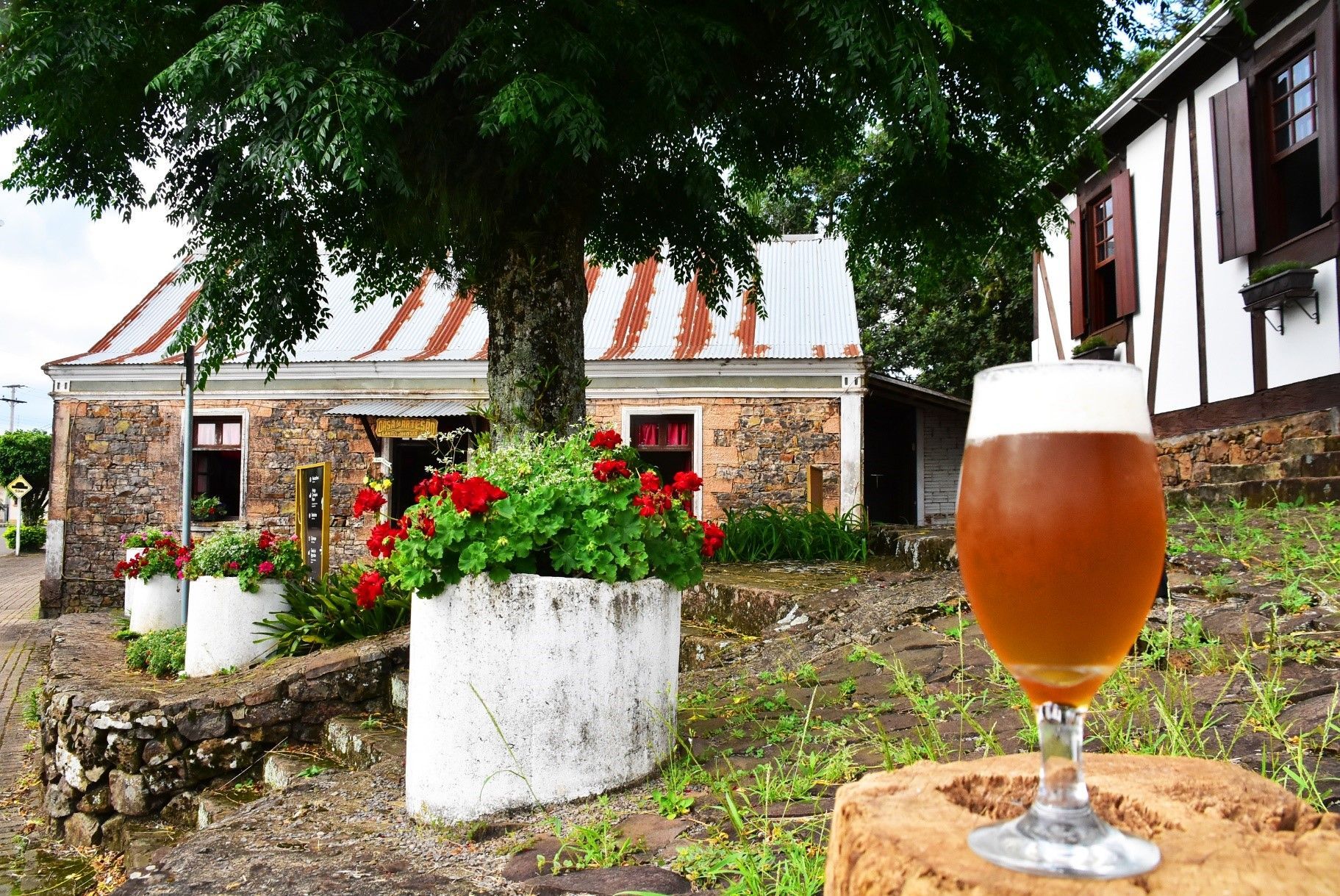 Cervejas, Sabores e Histórias - Linha Nova