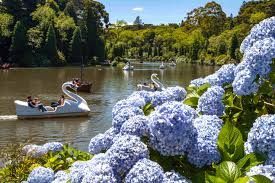 Gramado está entre as 51 cidades do Brasil com destaque em arborização urbana