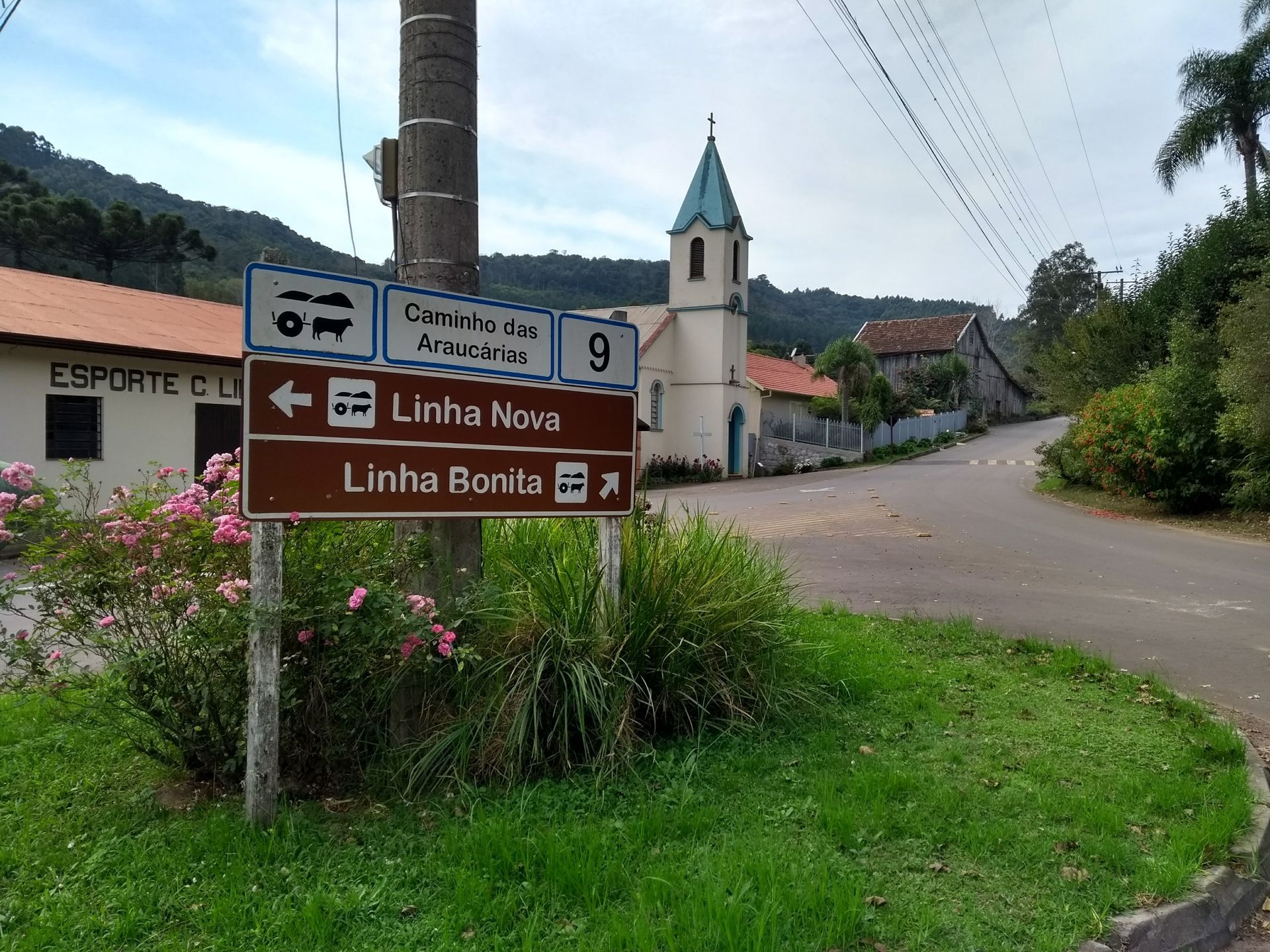 interior de gramado