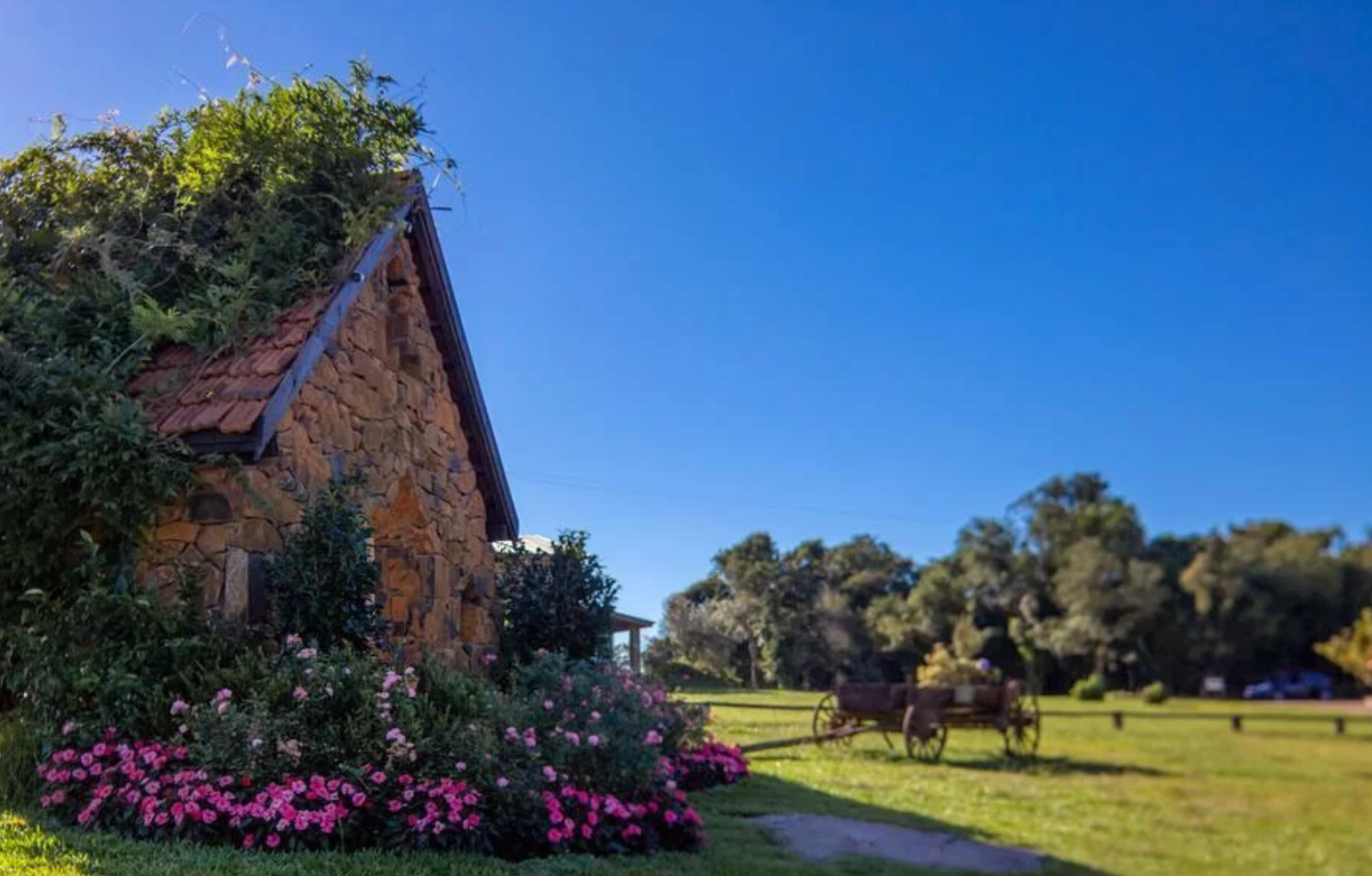 Parque Olivas de Gramado