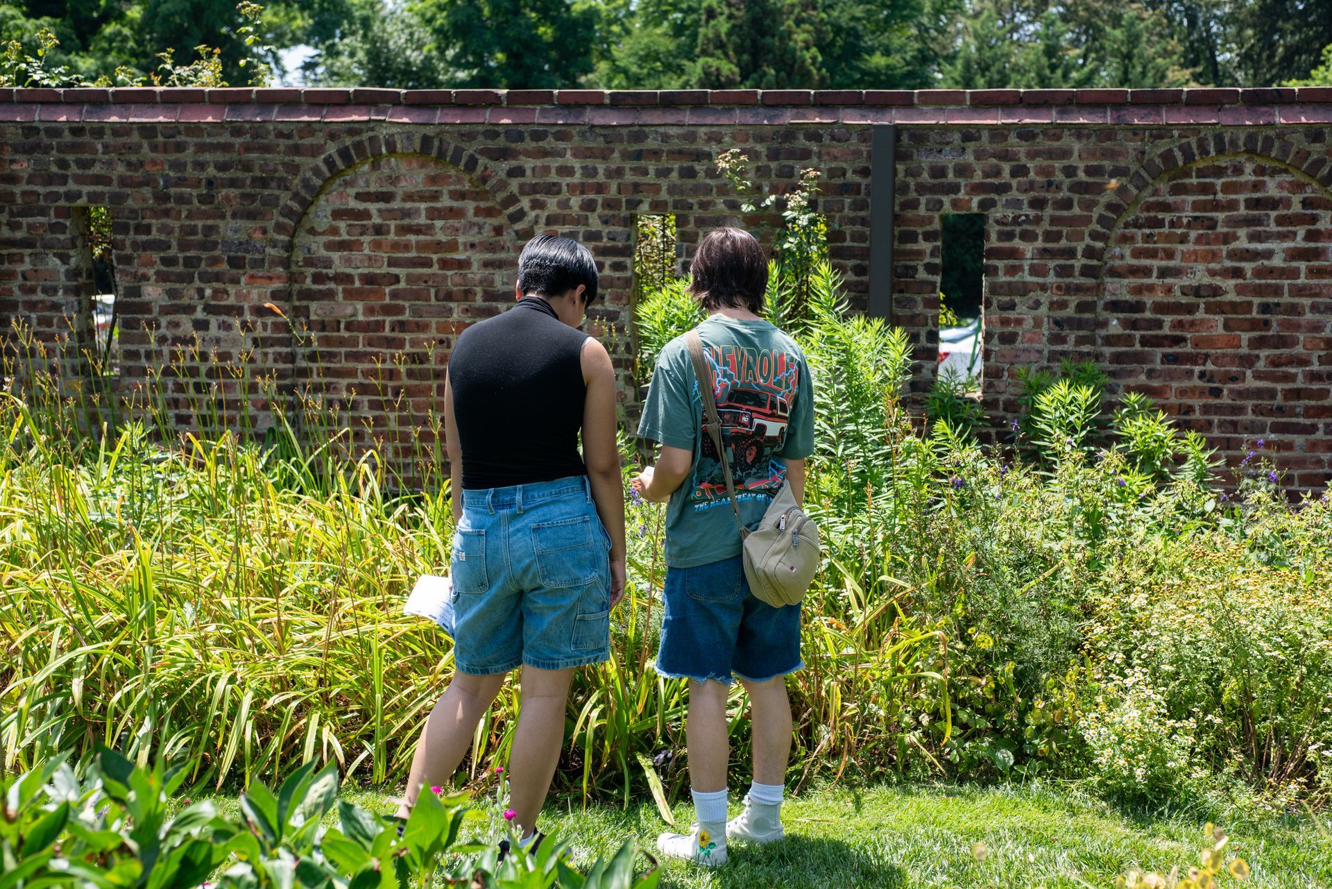 Two people standing in tall grass facing a brick wall in a sunny outdoor area