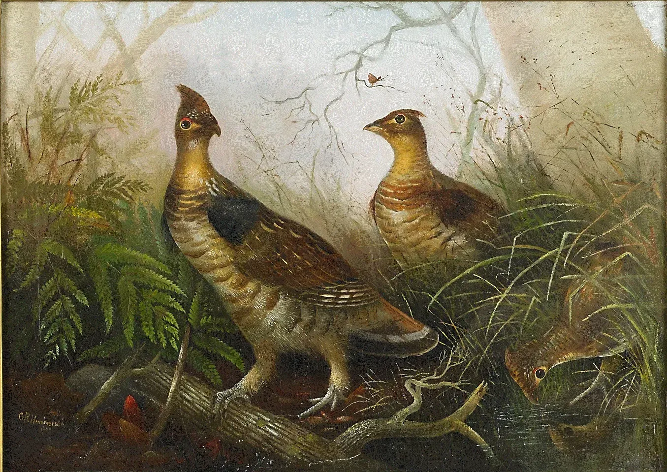 Two birds with brown and tan feathers in a forest setting.