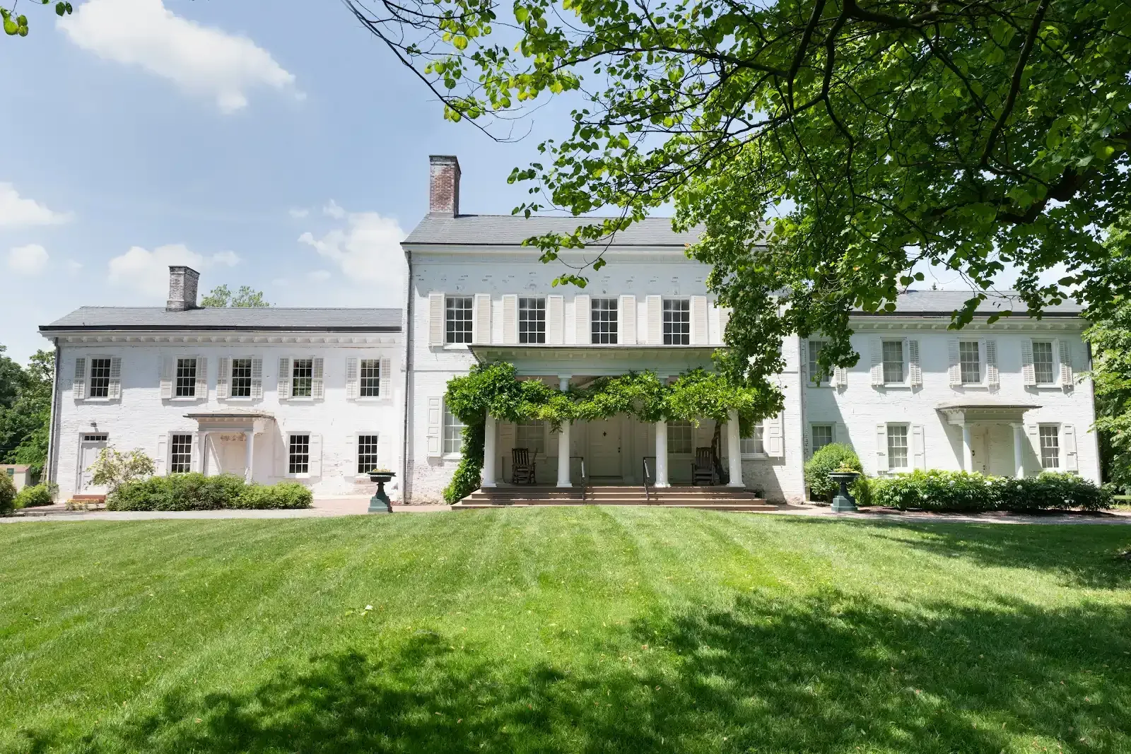 People viewing a Christmas tree in a decorated museum. A video screen and a chandelier are in the room.