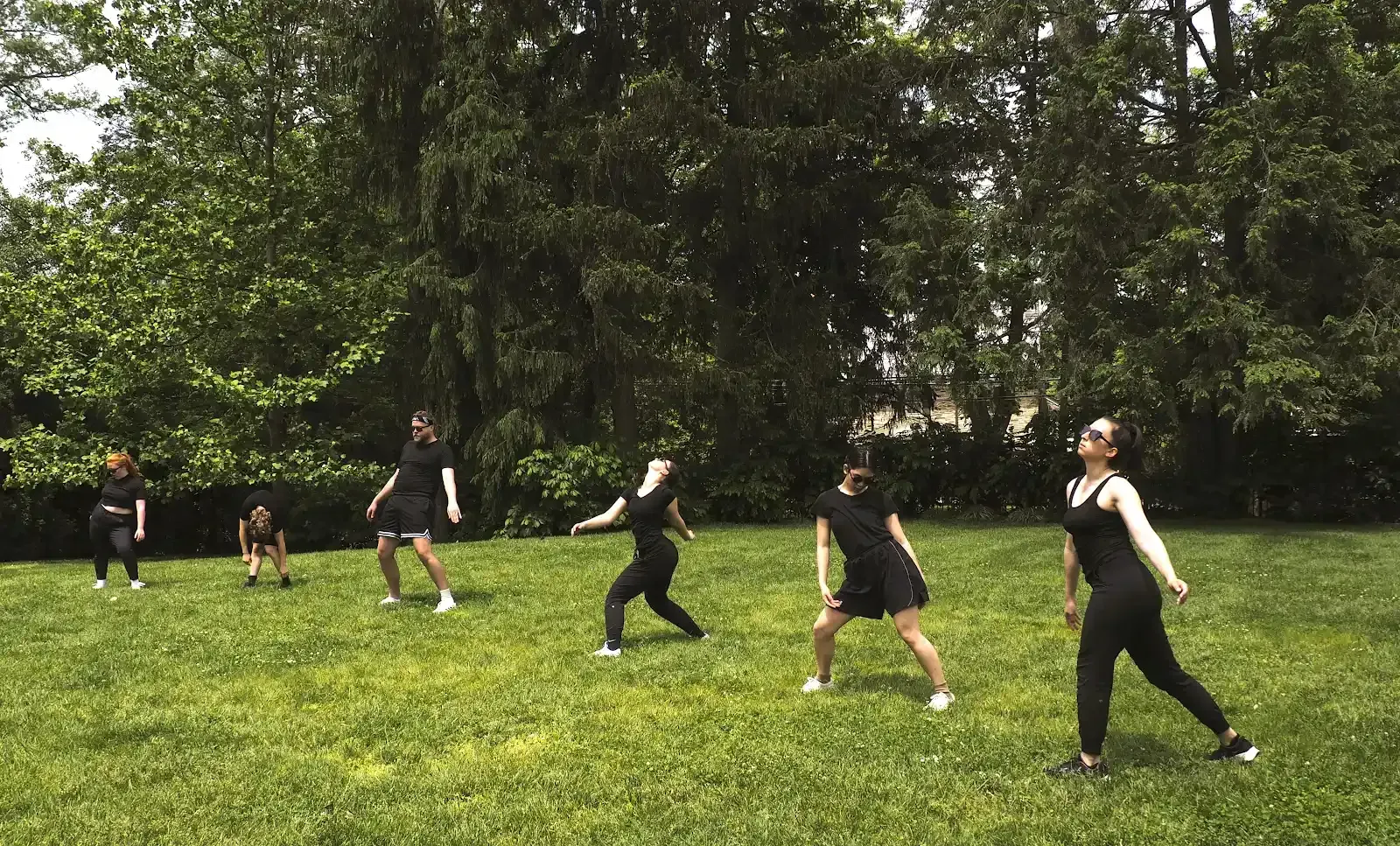 People performing an interpretive dance outdoors on grass.
