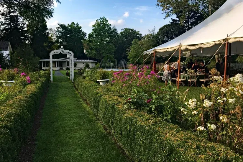 A garden path leads to a white tent with a reception, lined with flowers and trimmed hedges under a blue sky.