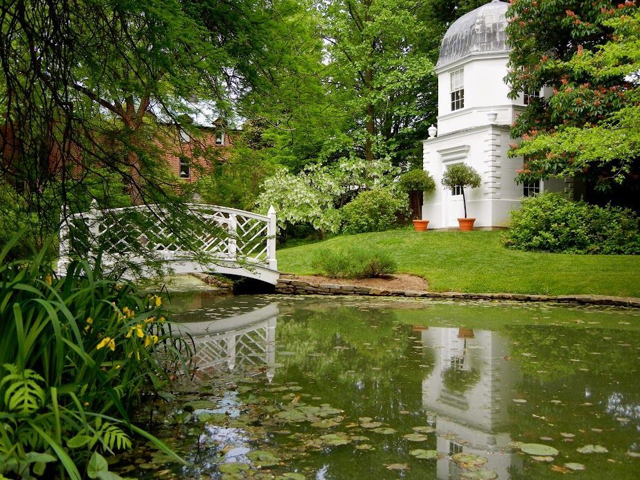 People viewing a Christmas tree in a decorated museum. A video screen and a chandelier are in the room.