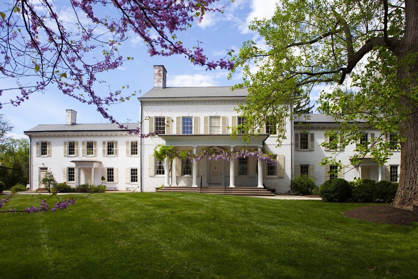 Tea setting on a table, with cups, teapot, and napkins. A window and chairs are in the background.