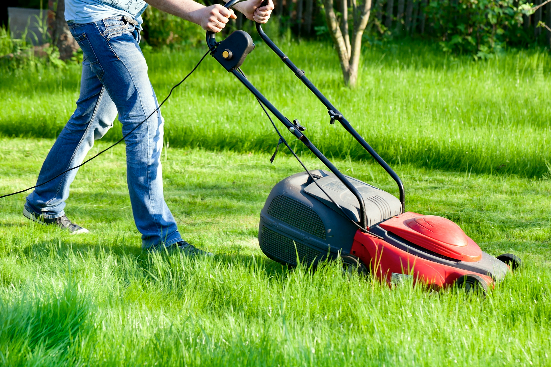 man using lawn mower - autumn lawn care