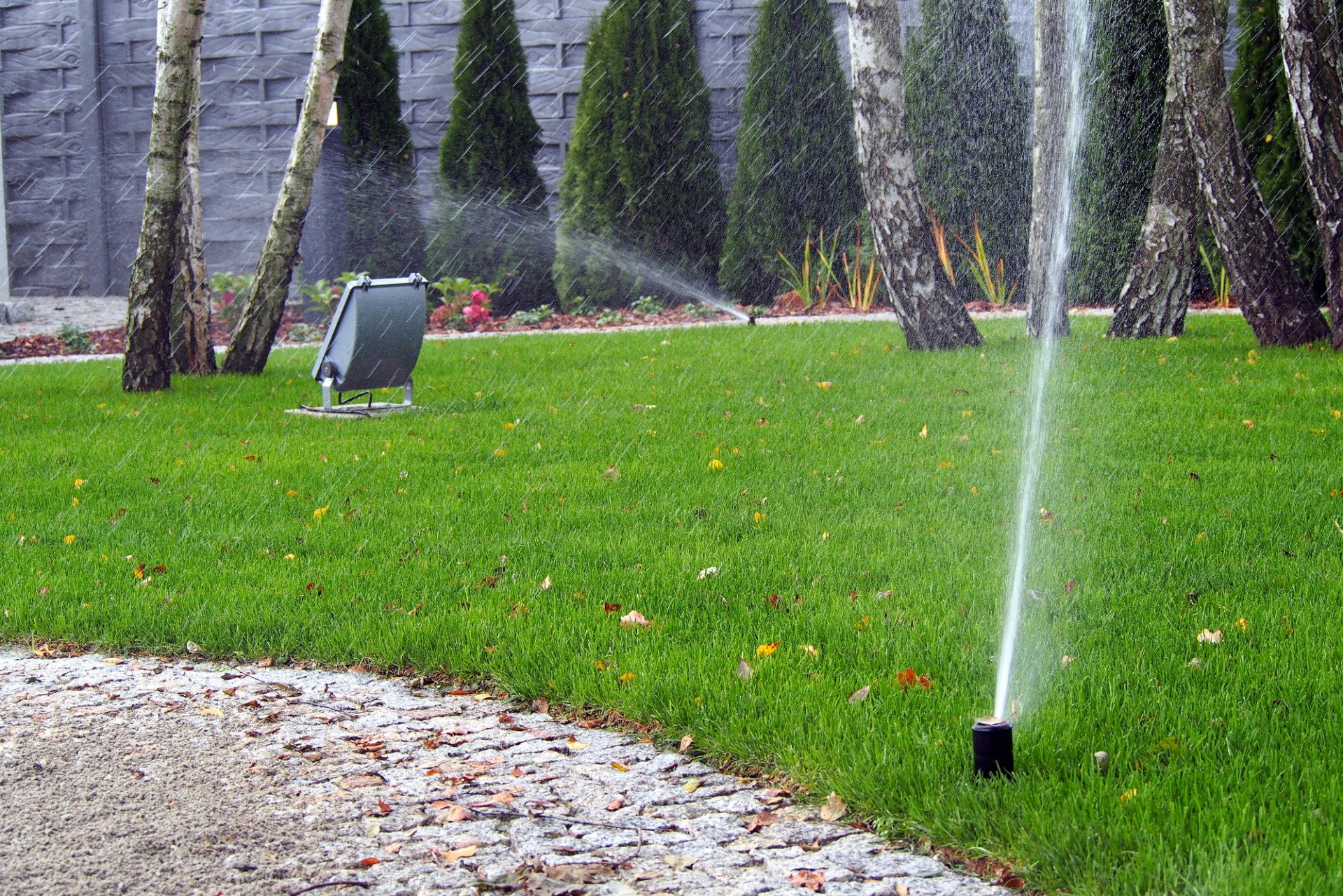 watering a green lawn - autumn lawn care
