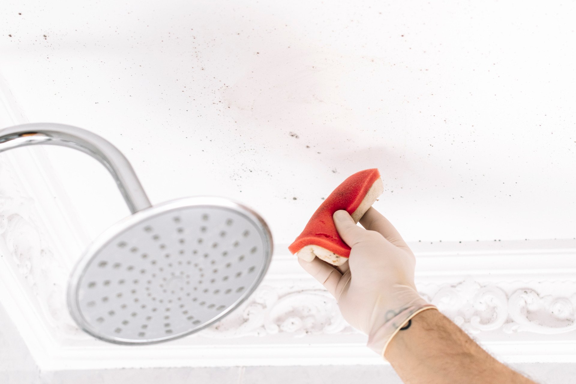 ceiling mould cleaning process