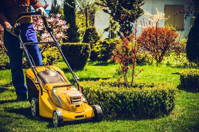 Ndis lawn online mowing