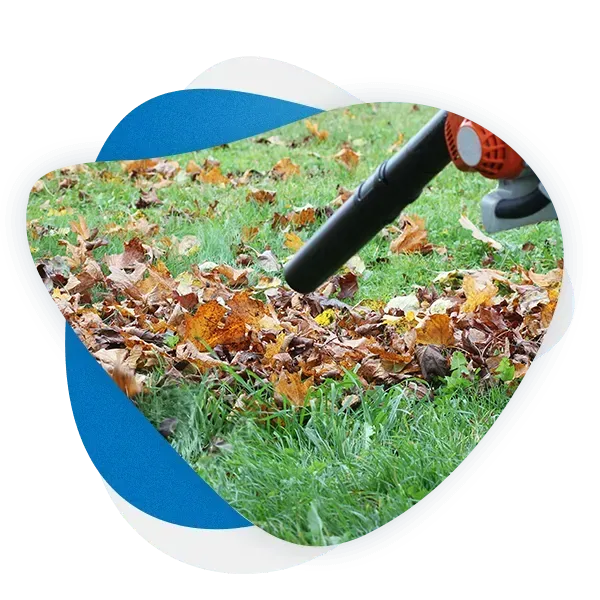 our lawn care services include leaf blowing