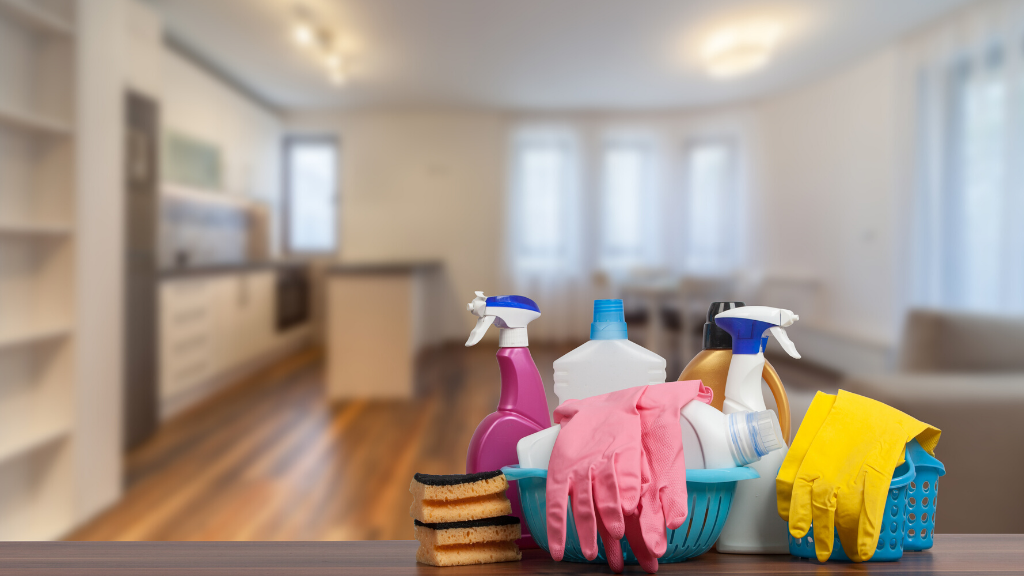 What type of cleaning should a house cleaner do