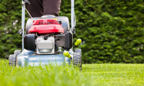 Outdoor Maintenance Services in Wollongong