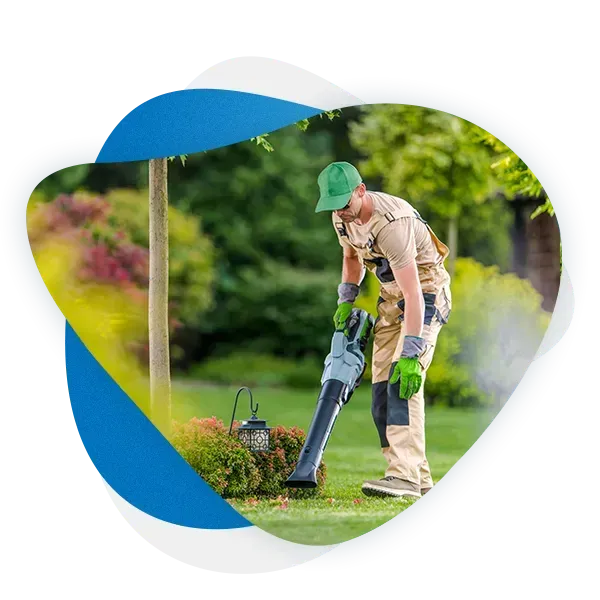 lawn mowing Newcastle expert conducting lawn maintenance