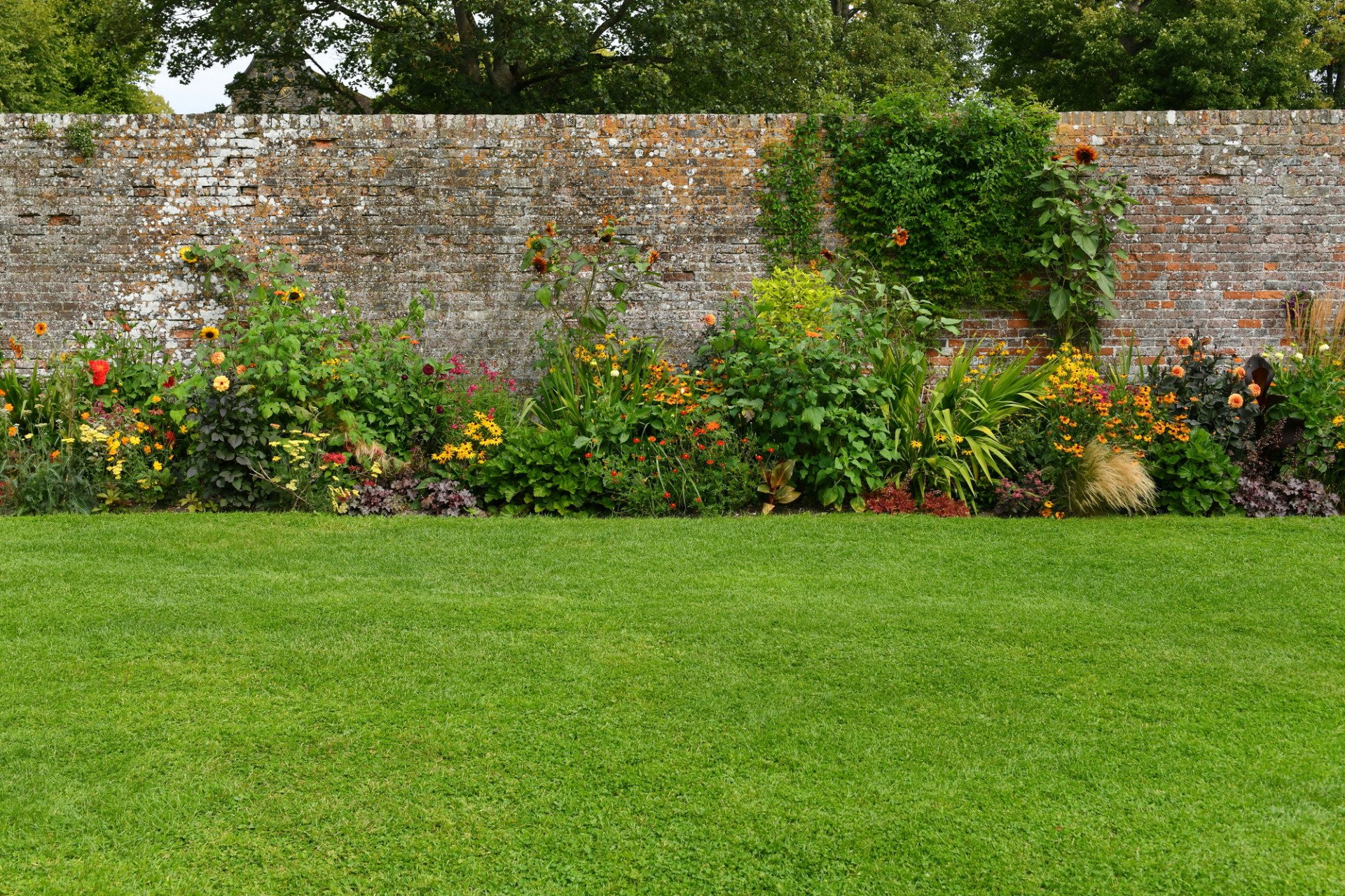 Colorful flower bed against a stone wall, with a green lawn in the foreground.