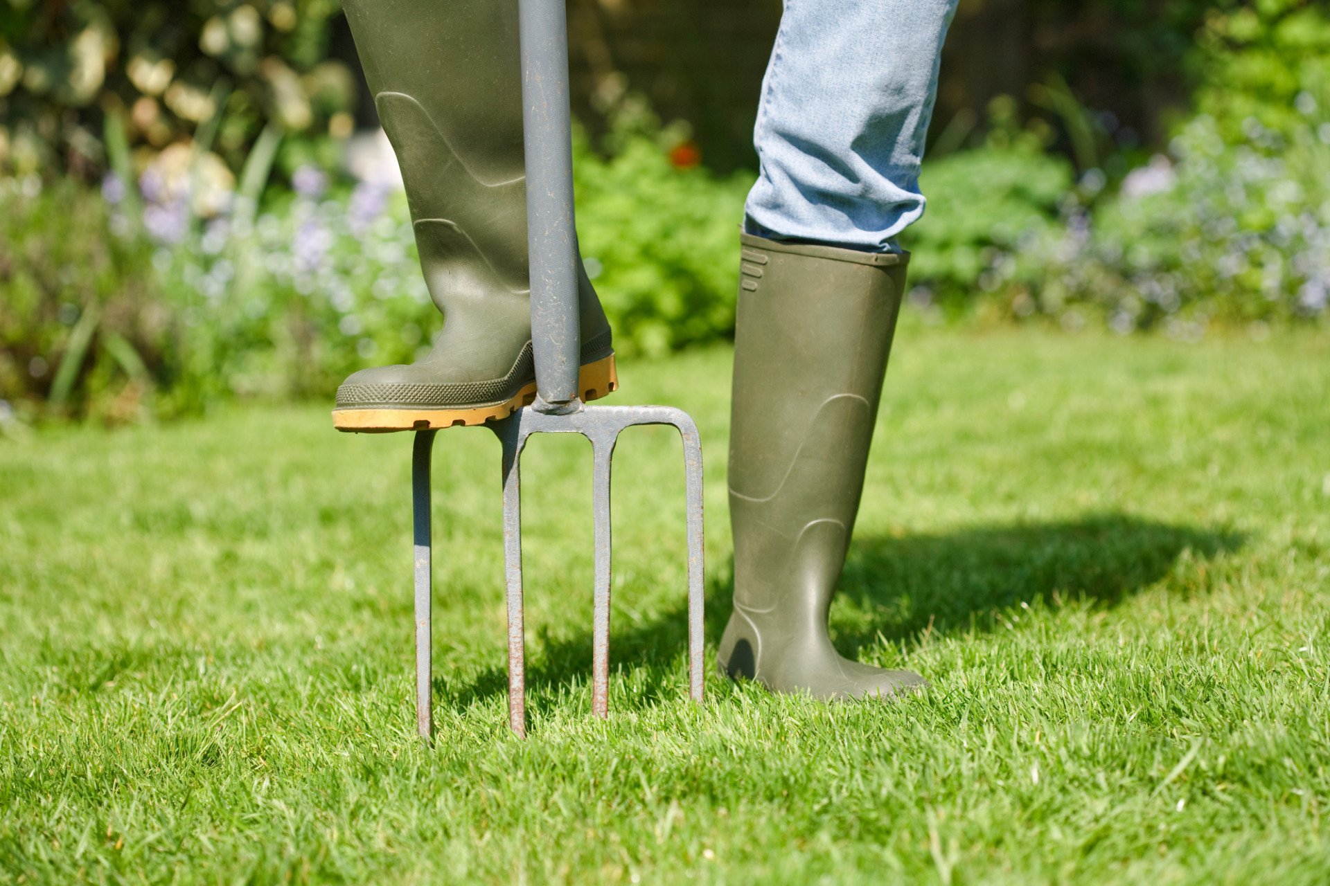 summer lawn care tip #5: aerate your lawn