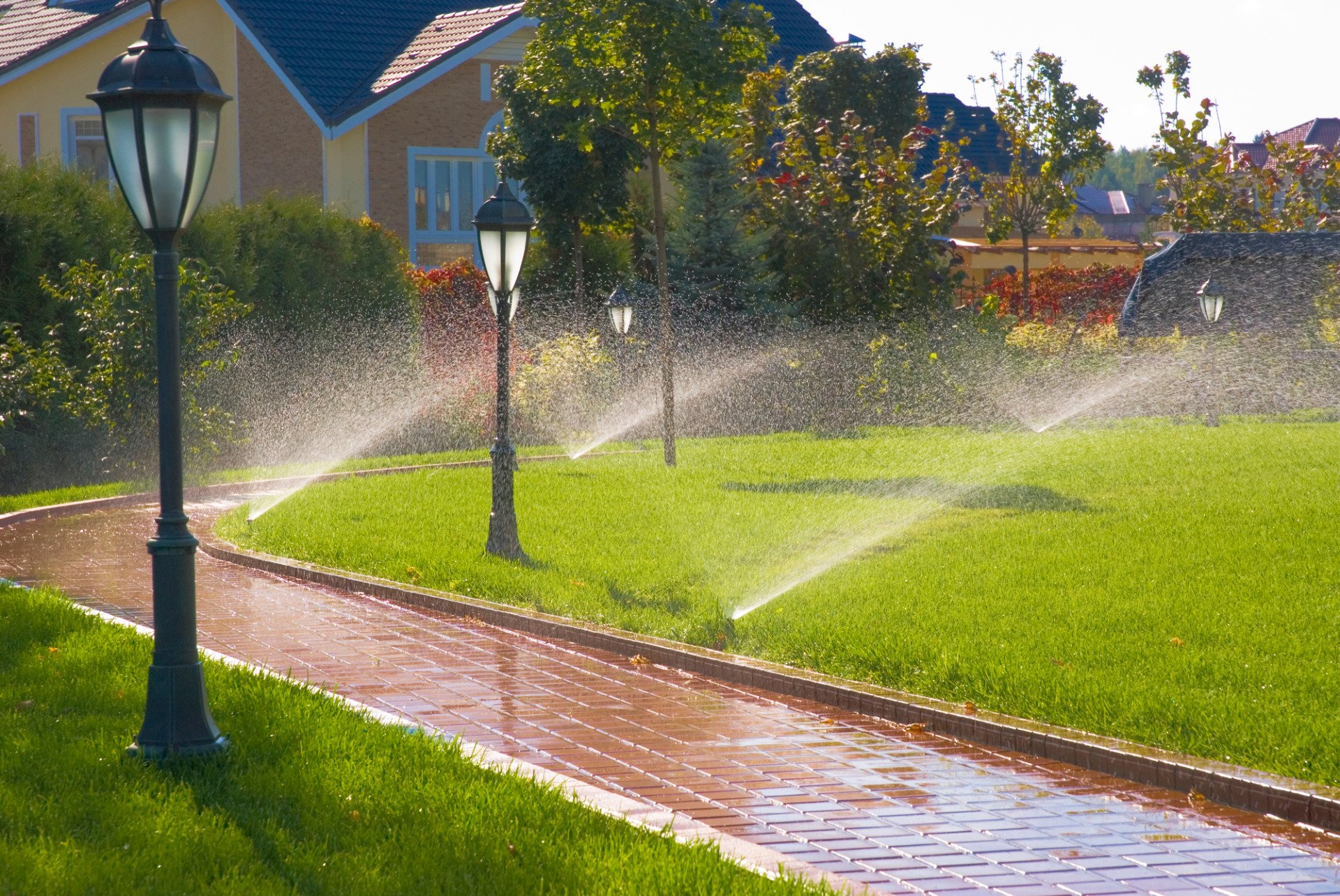 summer lawn care tip #4: irrigation