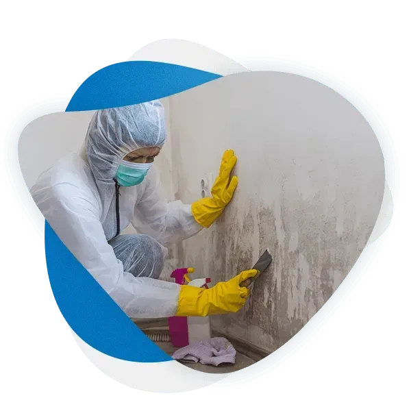 mould cleaning