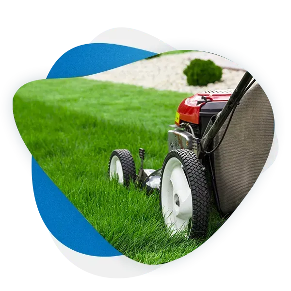 lawn care - lawn service - lawn mowing