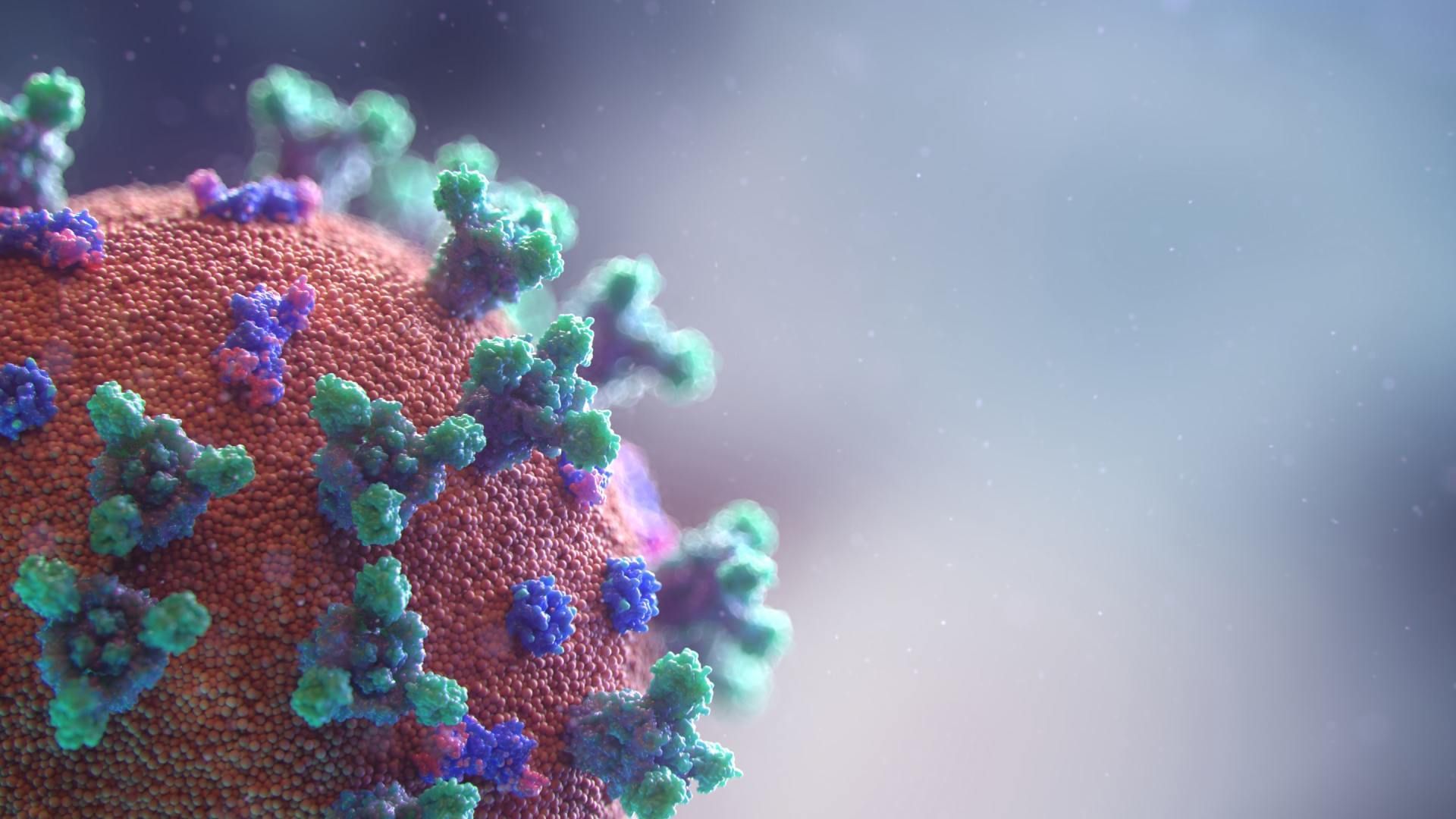 Close-up of a colorful coronavirus particle with red, purple, and green spikes on a blurred background