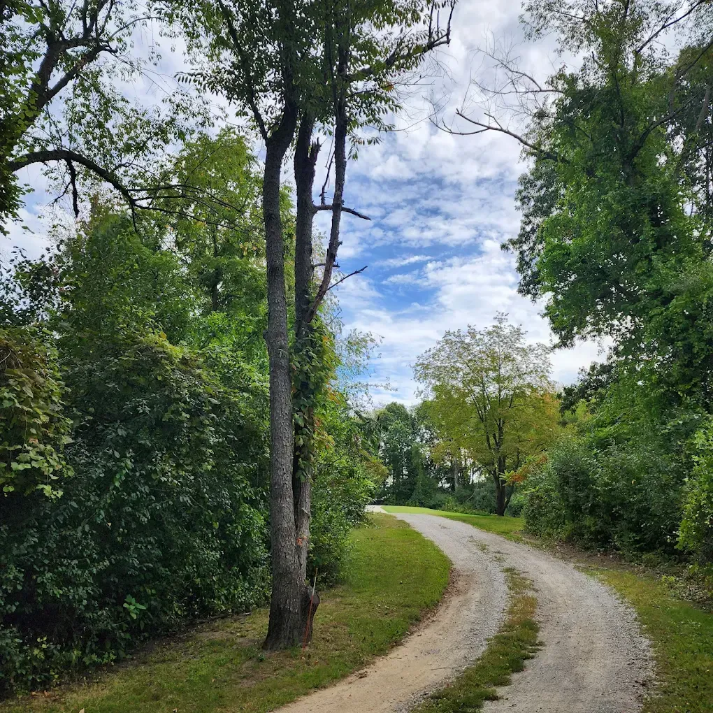 Gravel path winds through a green forest, leading towards a partly cloudy blue sky.