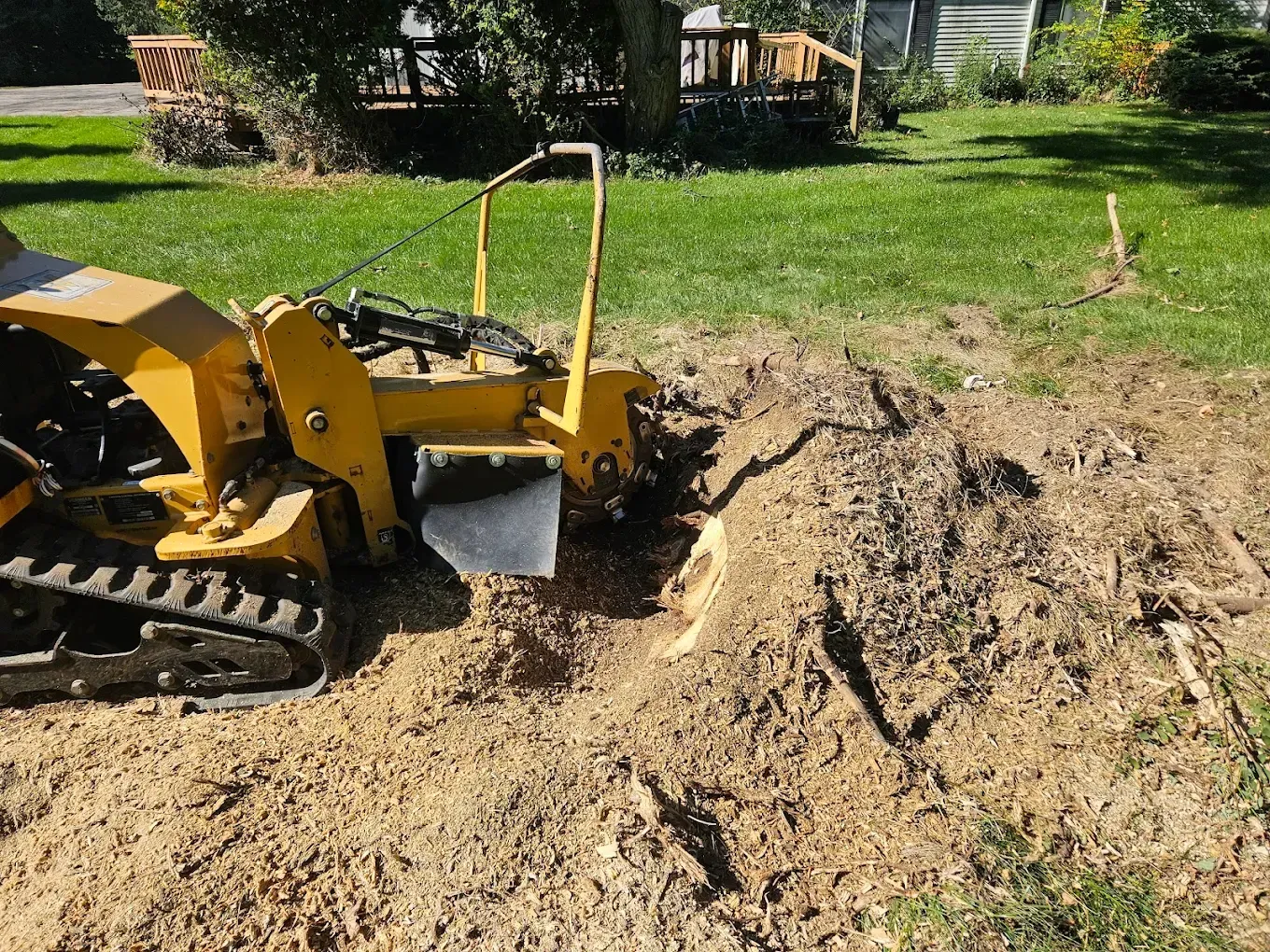 Yellow stump grinder grinding a tree stump in a yard, surrounded by wood chips.