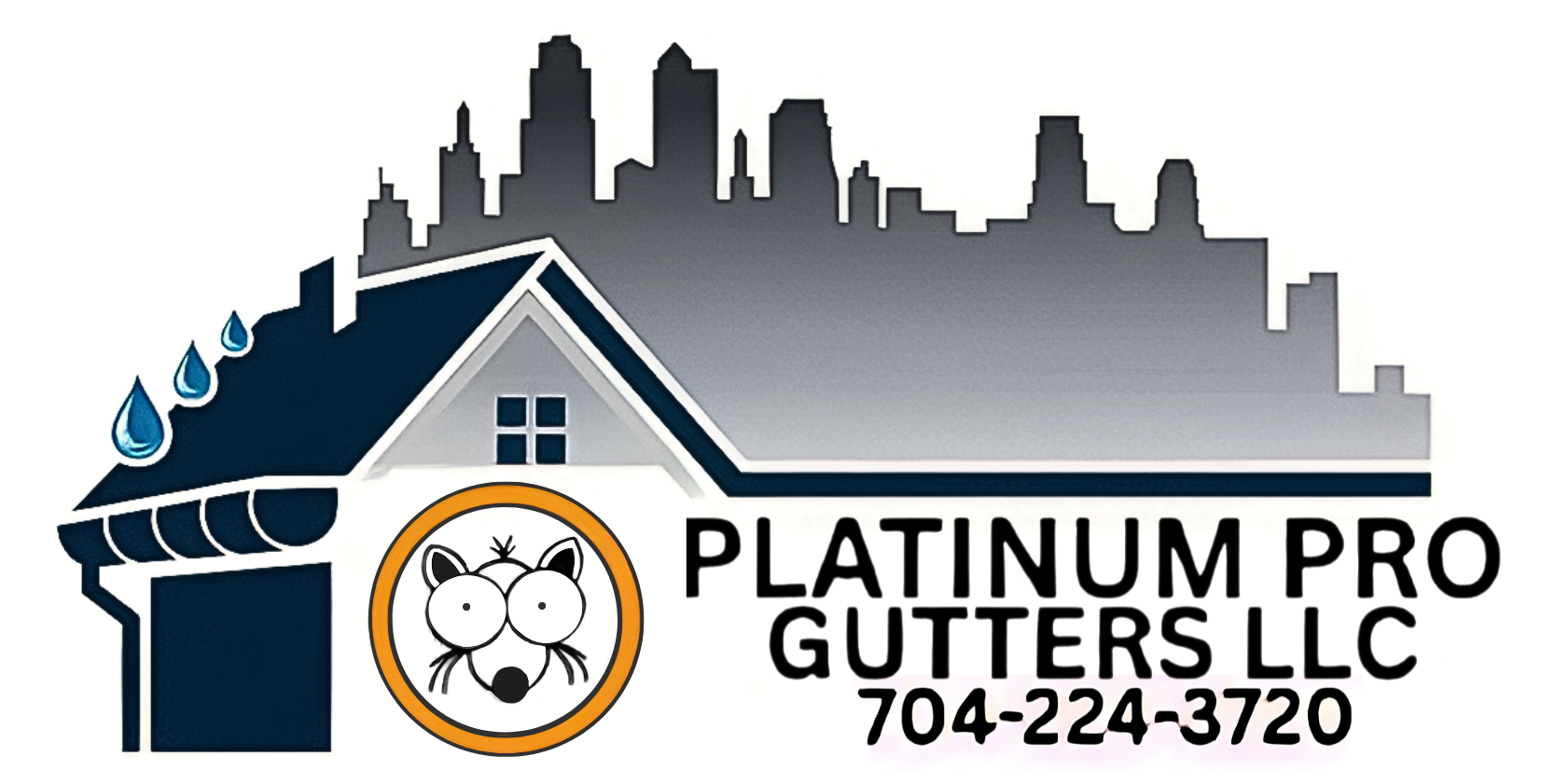 Logo of Platinum Pro Gutters LLC with a raccoon in a gold circle above blue text.