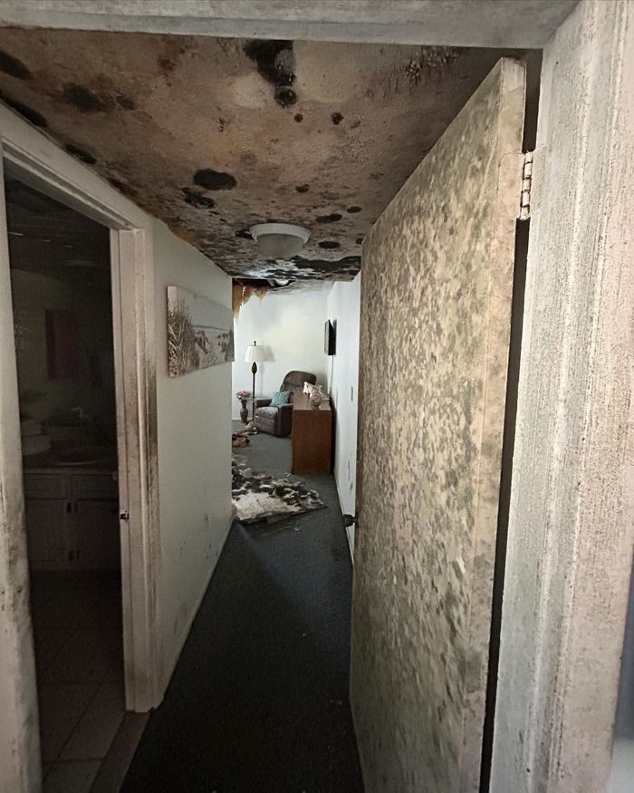 A dimly lit interior hallway with extensive dark mold damage across the ceiling and a textured door in the foreground.