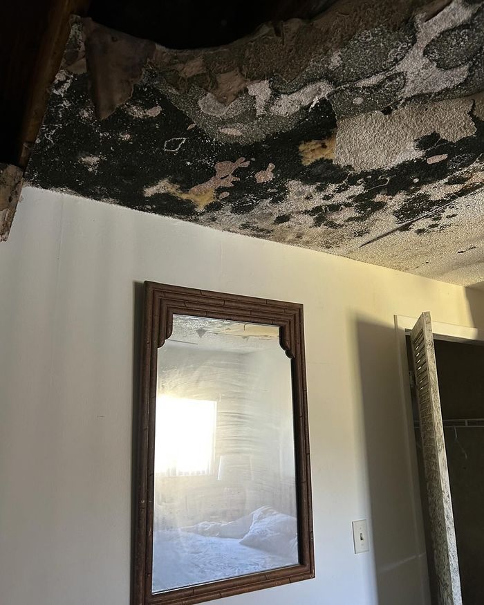 A room interior showing severe water damage and dark mold on the ceiling above a rectangular mirror on a white wall.