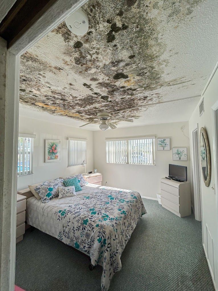 A bedroom with a bed and a mouldy ceiling