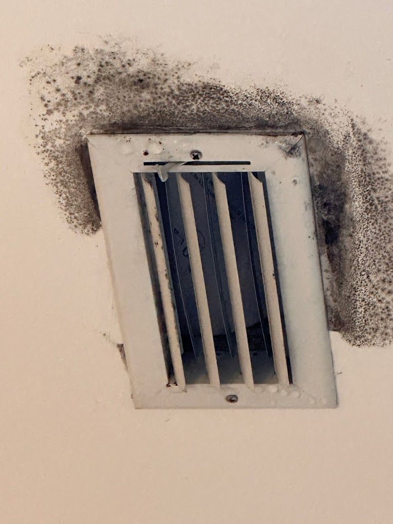 A white air vent is covered in black mold