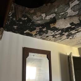 A room with a mirror and a ceiling that is covered in mold.