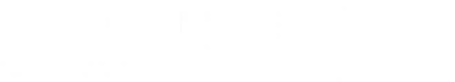 White horizontal bar centered on a plain white background.