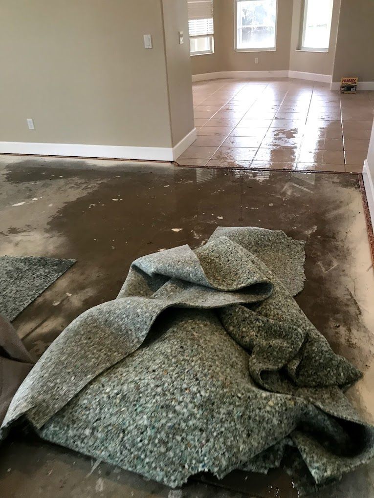 A piece of carpet is laying on the floor in a room